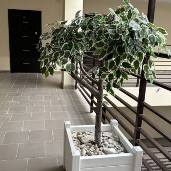 Продается 1-комнатная квартира, 24 м²