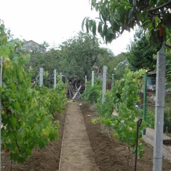 Продается Участок, 718 м²