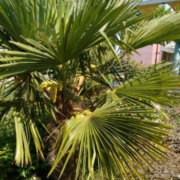 Продается Участок, 718 м²