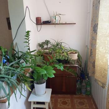 Продается 2-х комнатная квартира, 56 м²