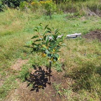 Продается Участок, 400 м²