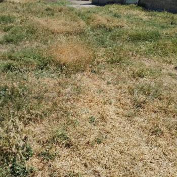 Продается Участок, 820 м²