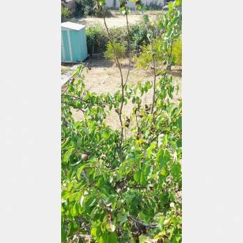 Продается Участок, 400 м²