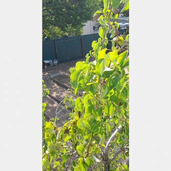 Продается Участок, 400 м²