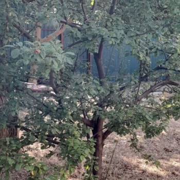 Продается Участок, 400 м²