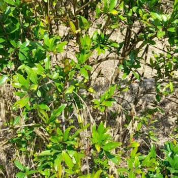 Продается Участок, 400 м²