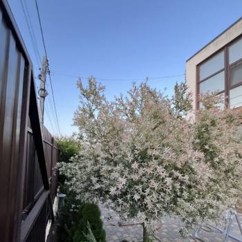 Продается Дом, 180 м²