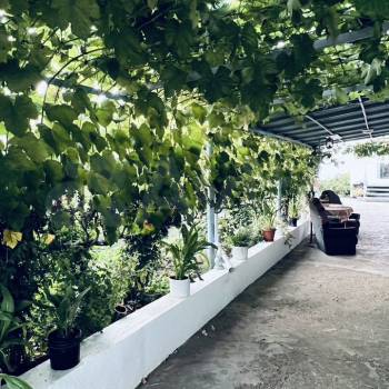 Продается Дом, 56 м²