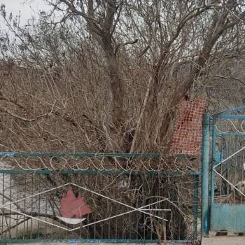 Продается Дом, 158,2 м²