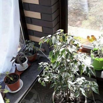 Сдается Комната, 24 м²