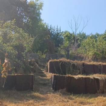 Продается Участок, 400 м²