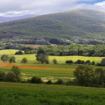 Продается Участок, 1000 м²