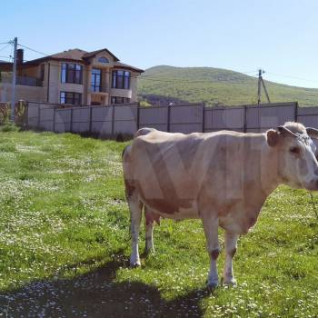 Продается Участок, 1000 м²