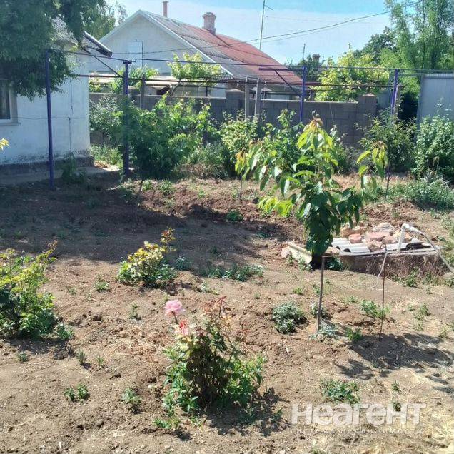 Фотография №5