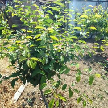 Продается Дом, 55 м²