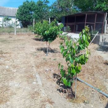 Продается Дом, 55 м²