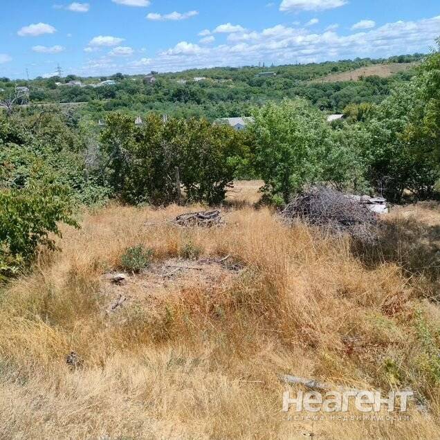 Фотография №2