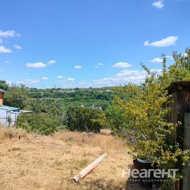 Фотография №4