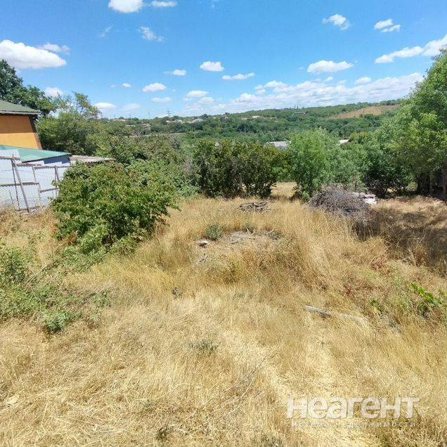 Фотография №5