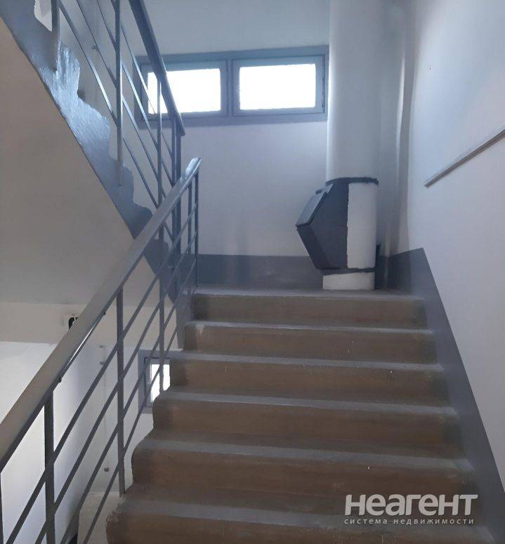 Фотография №4