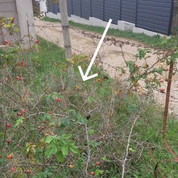 Продается Участок, 730 м²