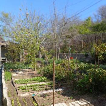 Продается Участок, 500 м²