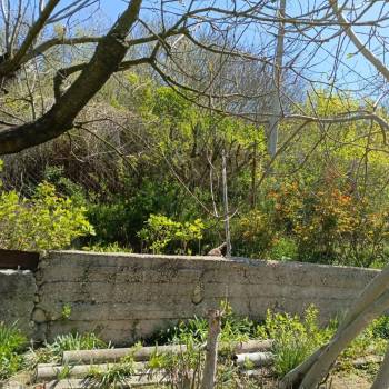 Продается Участок, 500 м²