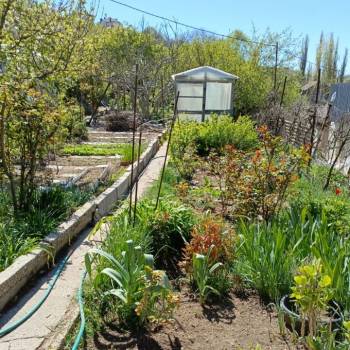 Продается Участок, 500 м²