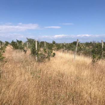 Продается Участок, 18900 м²