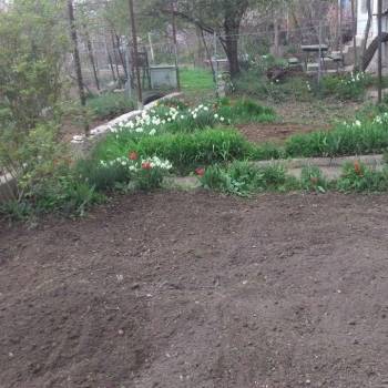 Продается Участок, 500 м²