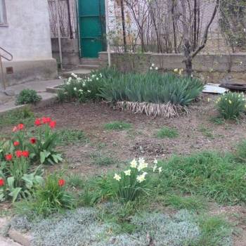 Продается Участок, 500 м²