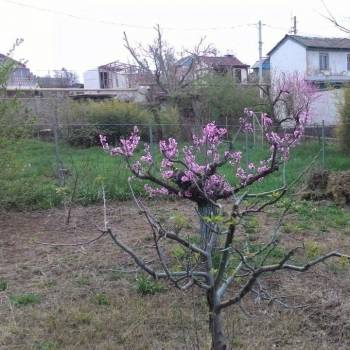 Продается Участок, 500 м²