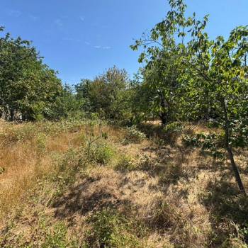 Продается Участок, 700 м²