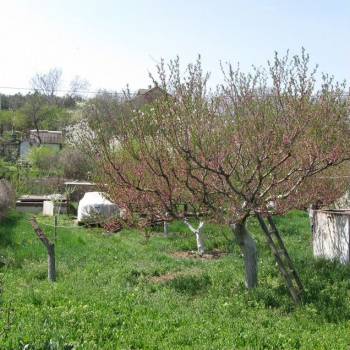 Продается Дом, 32 м²