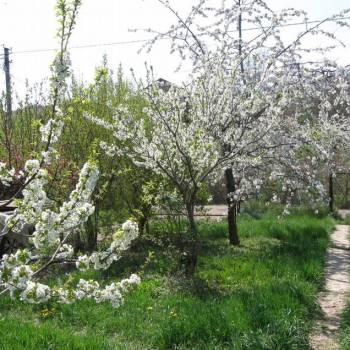 Продается Дом, 32 м²