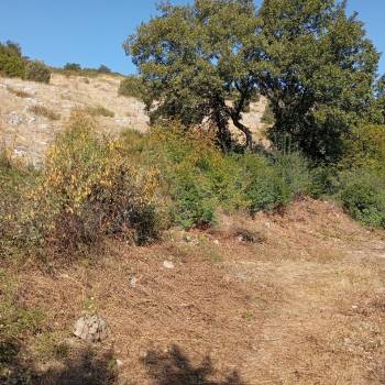 Продается Участок, 990 м²