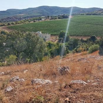 Продается Участок, 990 м²