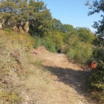 Продается Участок, 990 м²