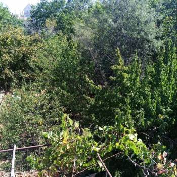 Продается Участок, 790 м²