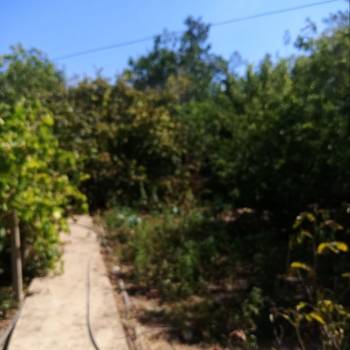 Продается Участок, 790 м²