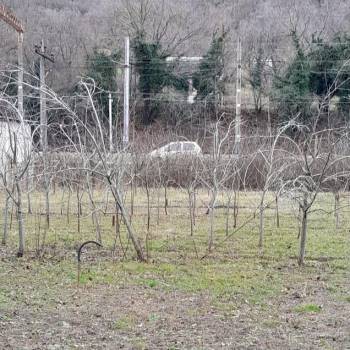 Продается Участок, 700 м²