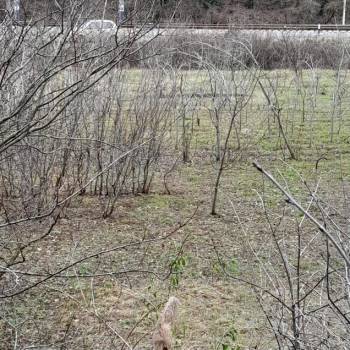 Продается Участок, 700 м²