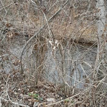 Продается Участок, 700 м²