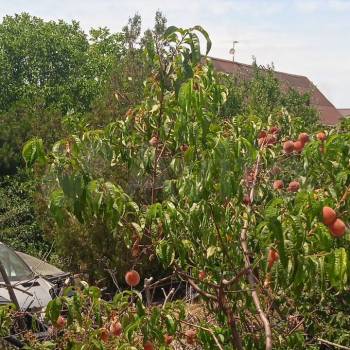 Продается Участок, 400 м²