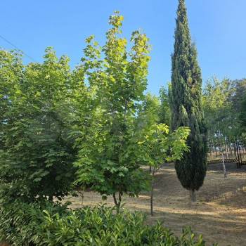 Продается 1-комнатная квартира, 20,1 м²