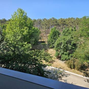 Продается 1-комнатная квартира, 20,1 м²