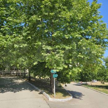 Продается 1-комнатная квартира, 20,1 м²