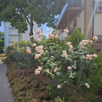 Продается 1-комнатная квартира, 20,1 м²