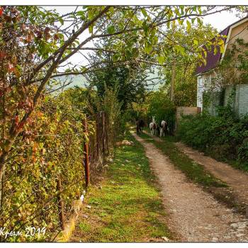 Сдается Дом, 50 м²