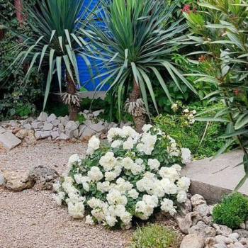 Продается Дом, 115 м²